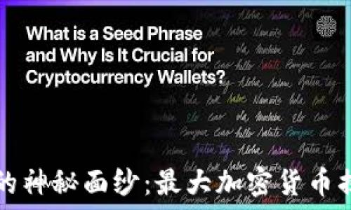   
揭开加密货币的神秘面纱：最大加密货币揭秘与投资指南