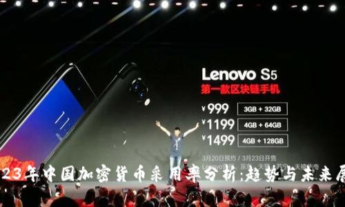 2023年中国加密货币采用率分析：趋势与未来展望