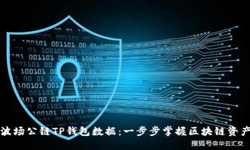 如何查看波场公链TP钱包数据：一步步掌握区块链资产管理技巧