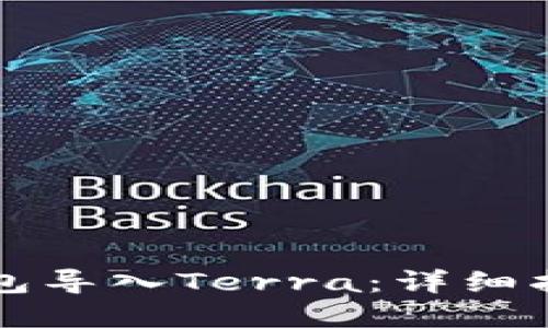 如何通过TP钱包导入Terra：详细指南与实用技巧