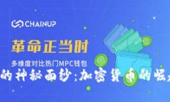 揭开P币的神秘面纱：加密