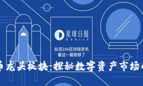 全球加密货币龙头板块：探秘数字资产市场的未来与潜力