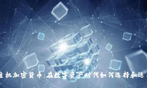 主机加密货币：在数字资产时代如何选择和运用