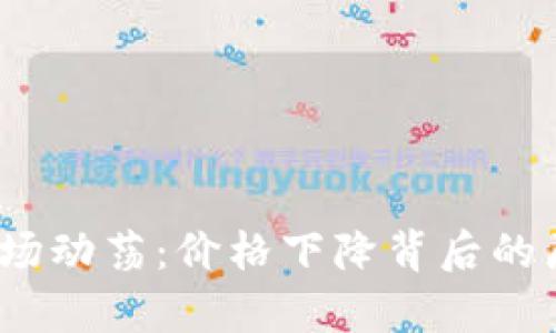 2023年加密货币市场动荡：价格下降背后的原因解析及未来趋势