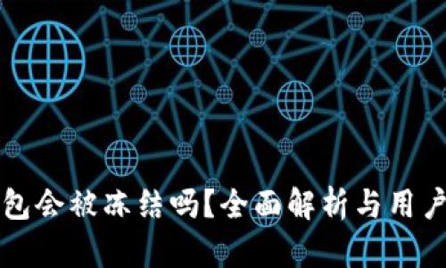 TP钱包会被冻结吗？全面解析与用户指南