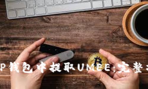 如何在TP钱包中提取UMEE：完整操作指南