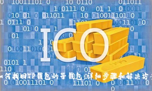 如何找回TP钱包的子钱包：详细步骤和解决方案