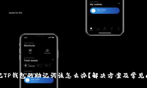 如果忘记TP钱包的助记词该怎么办？解决方案及常见问题解答