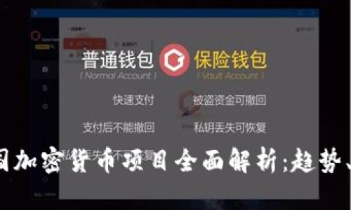 2023年中国加密货币项目全面解析：趋势、技术与监管