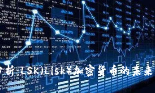 深入分析：LSK（Lisk）加密货币的未来与潜力