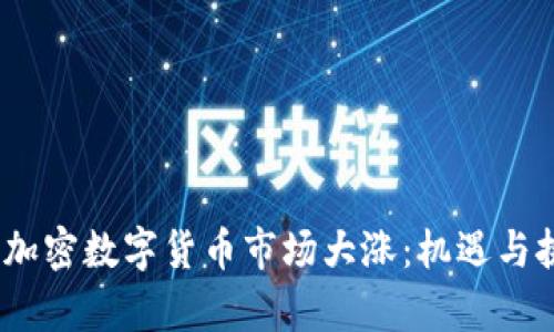 2023年加密数字货币市场大涨：机遇与挑战并存