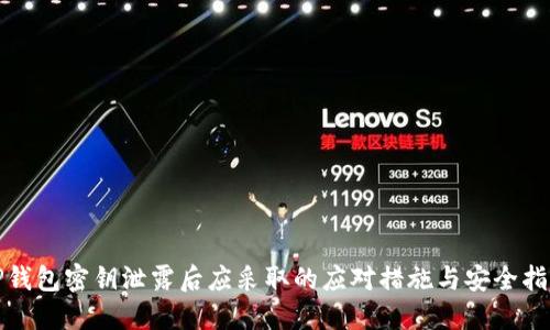 TP钱包密钥泄露后应采取的应对措施与安全指南