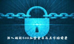 深入剖析BHD加密货币及其