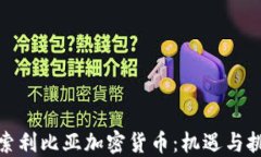 探索利比亚加密货币：机