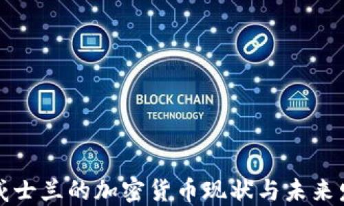 
斯威士兰的加密货币现状与未来发展