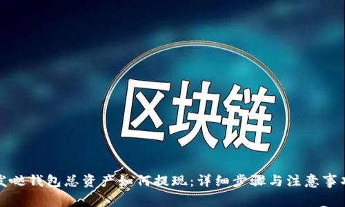 发哒钱包总资产如何提现：详细步骤与注意事项