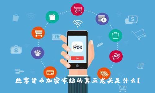 数字货币加密市场的真正龙头是什么？