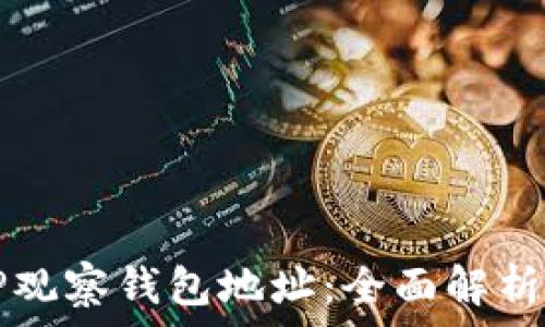   
如何通过TP观察钱包地址：全面解析和实用指南