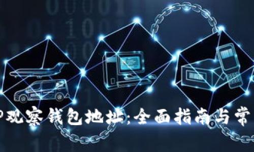 如何使用TP观察钱包地址：全面指南与常见问题解答