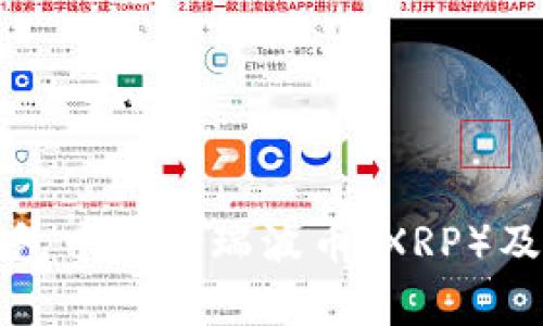 如何在TP钱包中存储瑞波币（XRP）及其注意事项