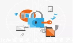 深入了解Ostic加密货币：未