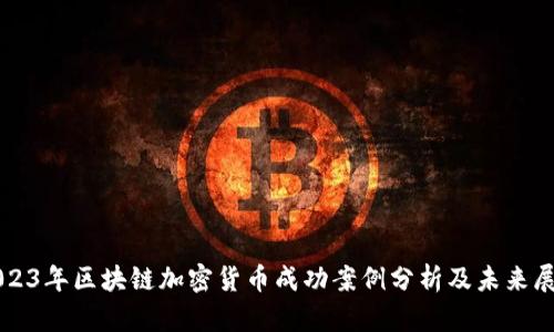 2023年区块链加密货币成功案例分析及未来展望
