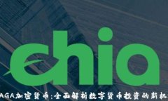 NAGA加密货币：全面解析数