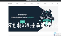TP钱包如何支持BSV：全面解
