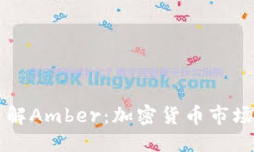 深入了解Amber：加密货币市场的黑马