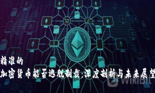 精准的  
加密货币能否逃脱制裁：深度剖析与未来展望
