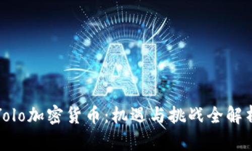 Yolo加密货币：机遇与挑战全解析