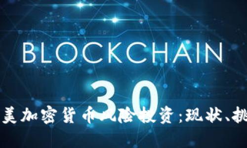 深入探讨美加密货币风险投资：现状、挑战与未来