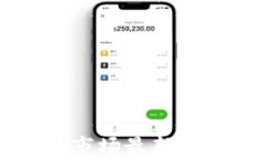 美国加密货币市场最新动态及趋势分析