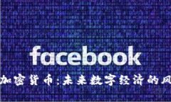 永州观察加密货币：未来