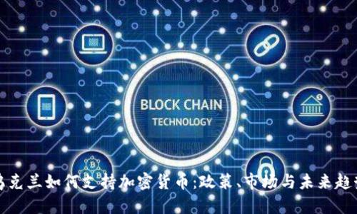 乌克兰如何支持加密货币：政策、市场与未来趋势